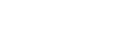 trison_necsum_logo